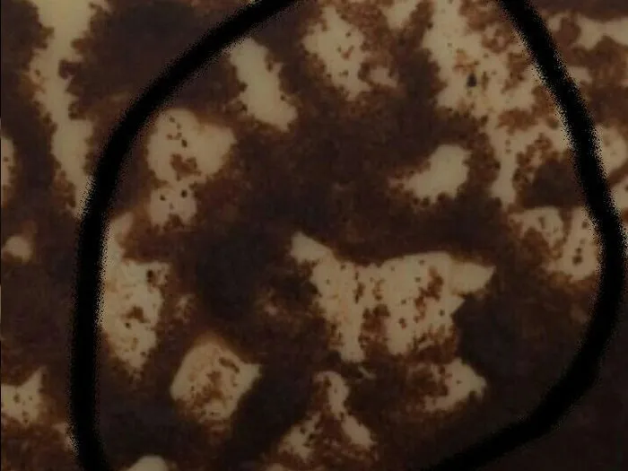 Запись на прием к гадалке в Соликамске